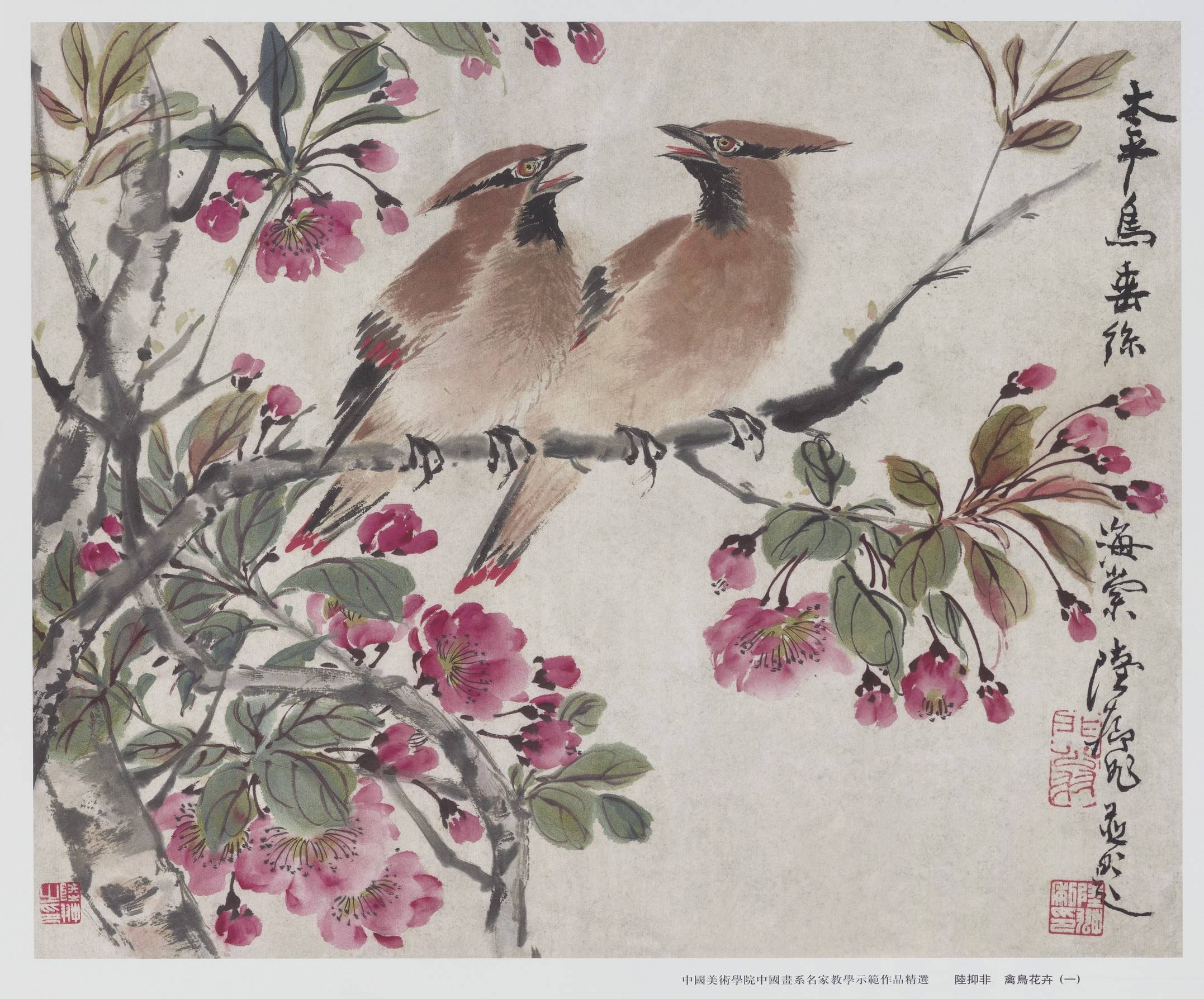 课徒稿陆抑非教学示范作品精选禽鸟花卉