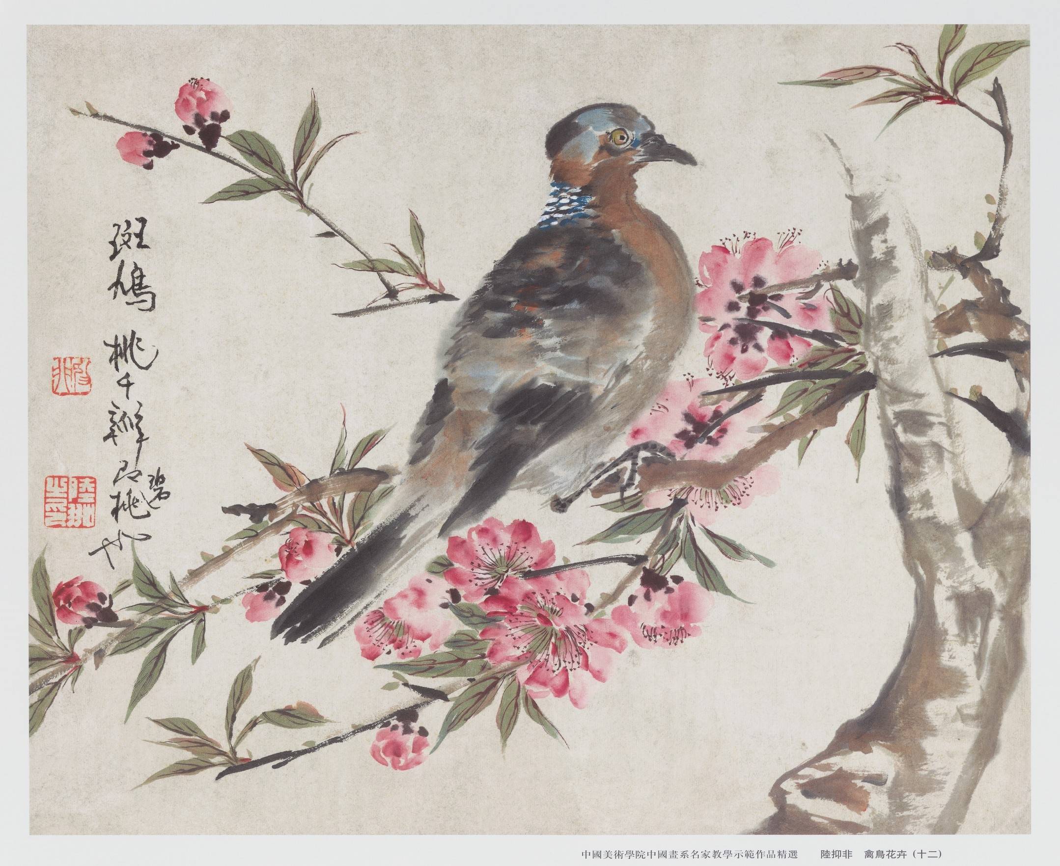 课徒稿陆抑非教学示范作品精选禽鸟花卉