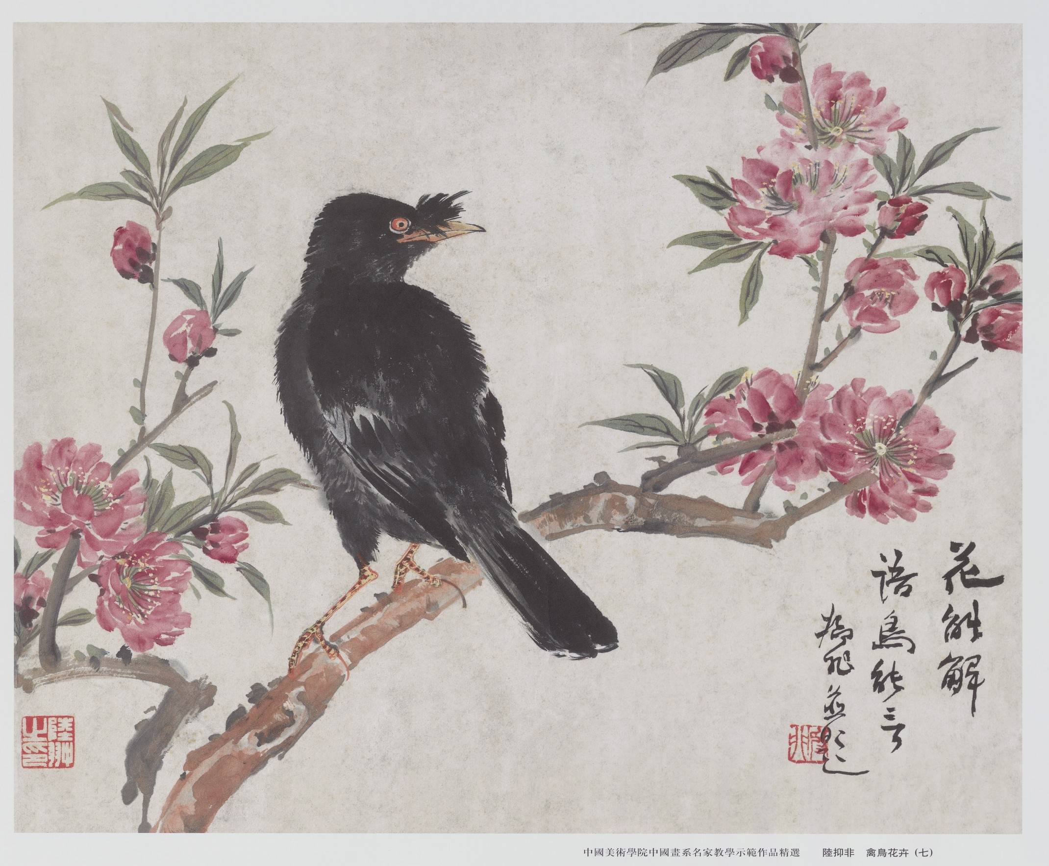 课徒稿陆抑非教学示范作品精选禽鸟花卉