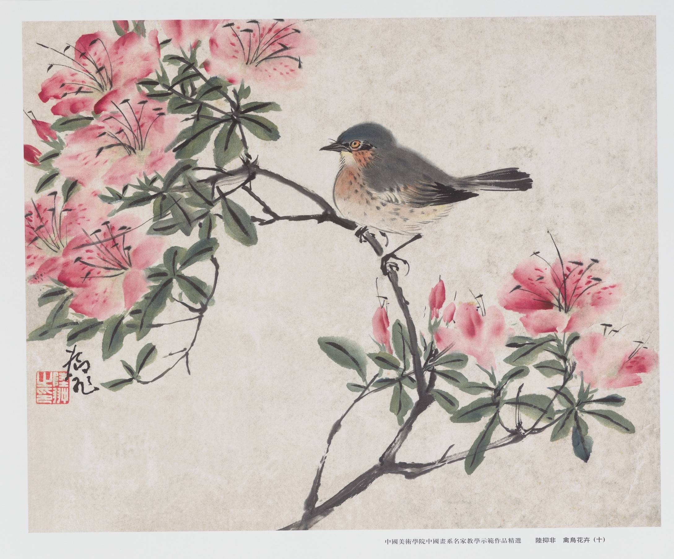课徒稿陆抑非教学示范作品精选禽鸟花卉