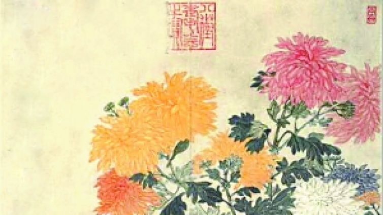 中国菊花文化内涵尽在“五美”
