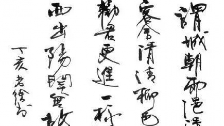 徐静蕾晒书法，一首诗5个错别字，说好的“才女”呢！