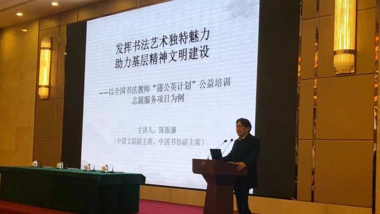 陈振濂教授应邀在“新时代文明实践中心试点地区志愿服务工作培训班”进行优秀项目展示